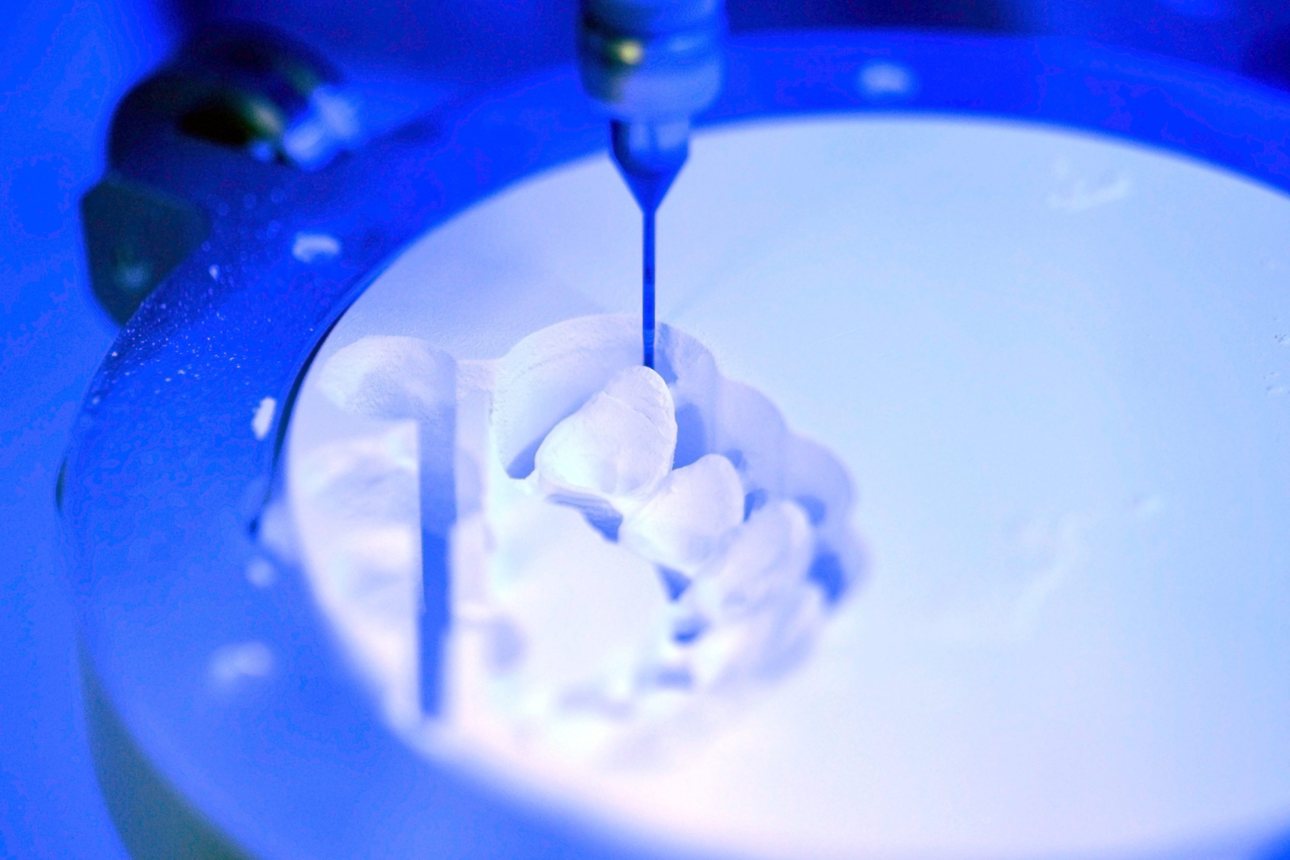 ESSE-EFFE-DENTAL-LINE-Laboratorio-Odontotecnico-Sbuttoni-Fausto-castelsangiovanni-protesi-mobile-protesi-fissa-zirconio-co-cr-disilicato-laser-melting-fresatura-cad-cam-scheletrati-bite ESSE-EFFE-DENTAL-LINE-Laboratorio-Odontotecnico-Sbuttoni-Fausto-castelsangiovanni-protesi-mobile-protesi-fissa-zirconio-co-cr-disilicato-laser-melting-fresatura-cad-cam-scheletrati-bite
